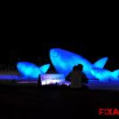 Скульптуры в виде рыб из использованных пластиковых бутылок на пляже в Рио