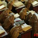 Таксидермия как искусство (12 фото)