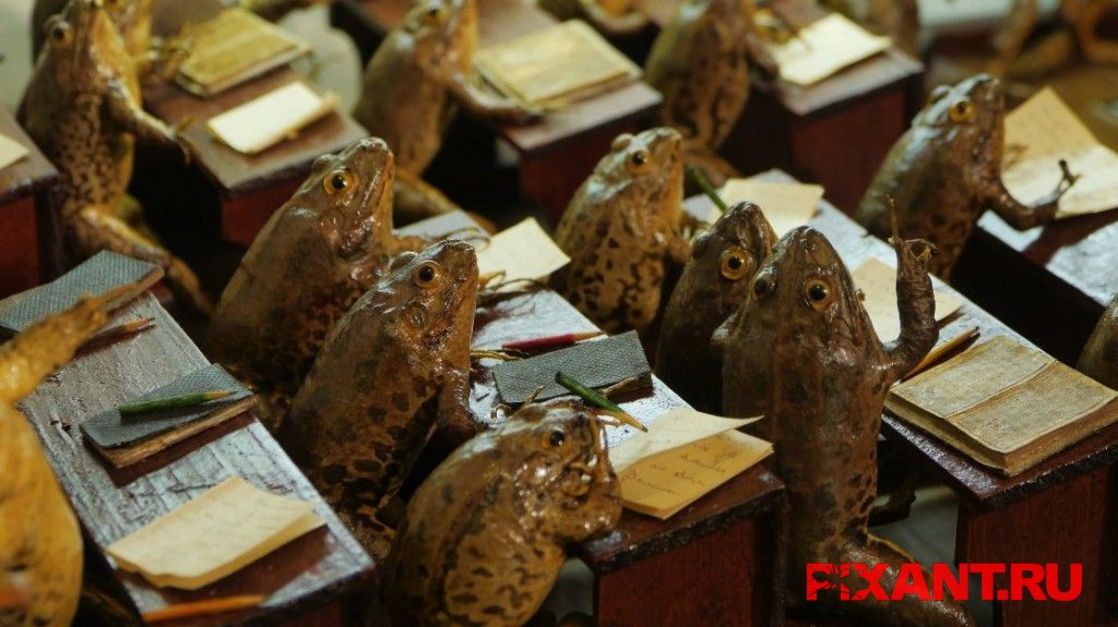 Таксидермия как искусство (12 фото)