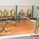 Таксидермия как искусство (12 фото)