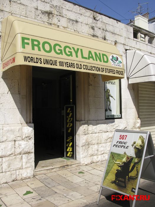 Таксидермия как искусство (12 фото)