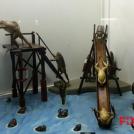 Таксидермия как искусство (12 фото)