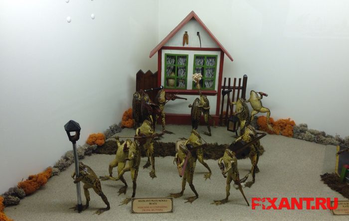 Таксидермия как искусство (12 фото)