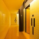 Фото Знаки обозначающие туалет в общественных местах по всему миру из раздела /