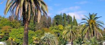 Незабываемый отдых в Сочи