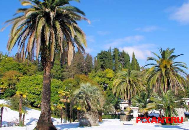 Незабываемый отдых в Сочи