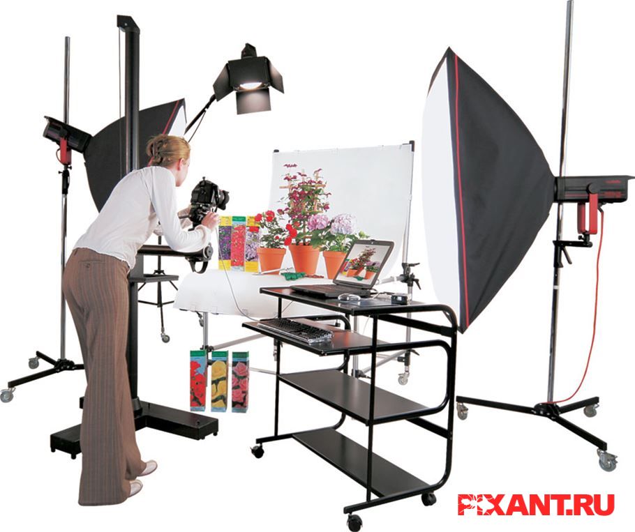 Фото Предметная фотосъемка: нюансы профессионализма из раздела Репортаж /