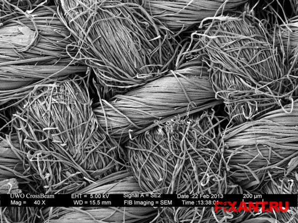 Преимущества стирального порошка без фосфатов Фото Преимущества стирального порошка без фосфатов из раздела Исследование /