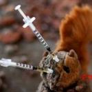 Анимационный ролик о том, как плюшевые игрушки стали наркоманами