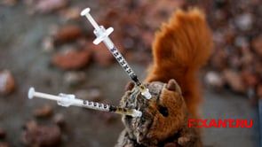 Анимационный ролик о том, как плюшевые игрушки стали наркоманами