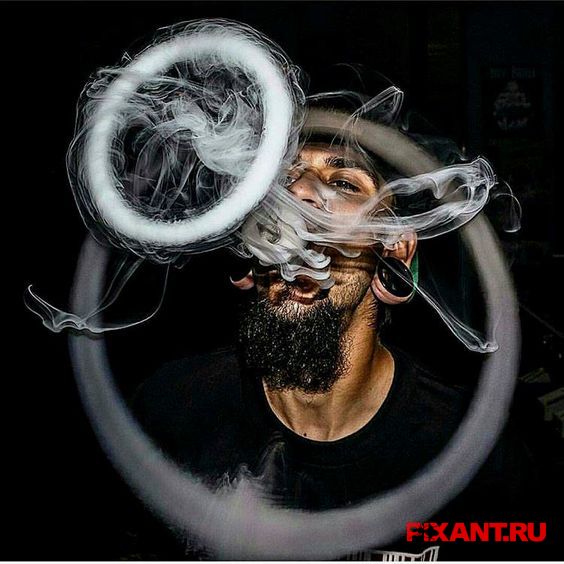 Парящие по жизни Фото Парящие по жизни из раздела Исследование /