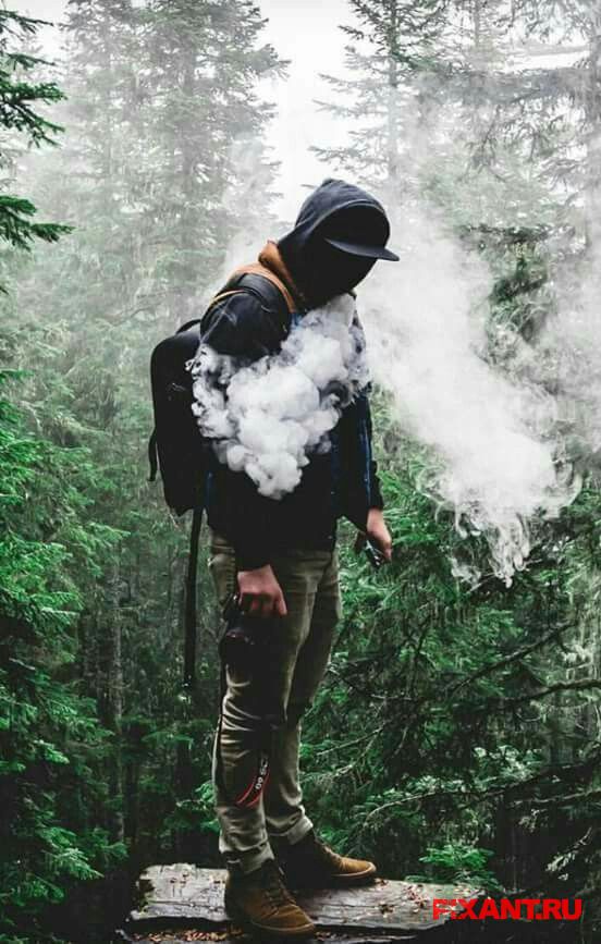 Парящие по жизни Фото Парящие по жизни из раздела Исследование /