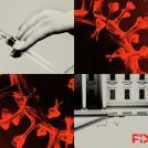 Как закончится пандемия коронавируса COVID19