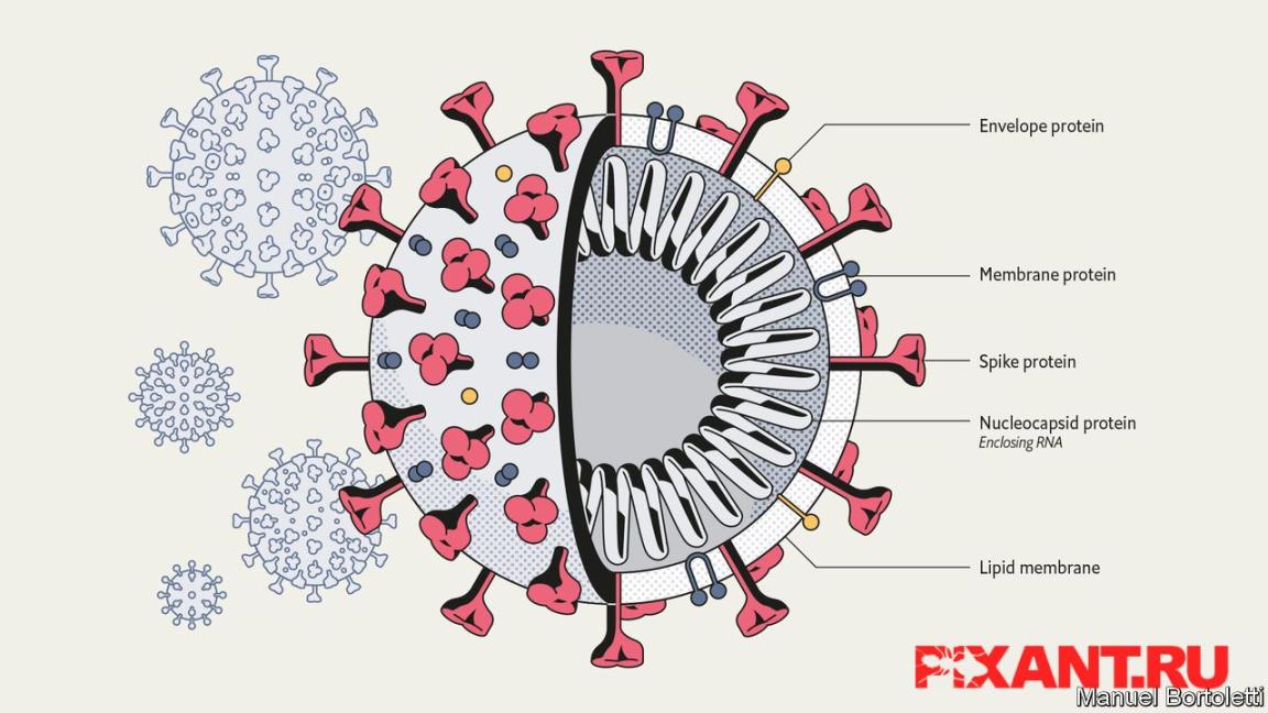 COVID19 Пандемия коронавируса 