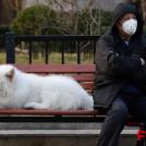 Могут ли кошки и собаки быть переносчиками коронавируса COVID-19?