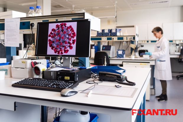 Компьютерные Исследования вирусов